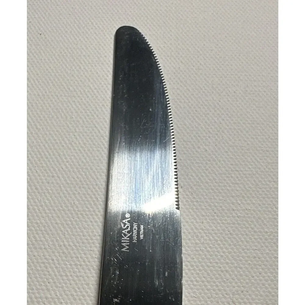 Mikasa HARMONY Glossy Set of 2 Dinner Knives 18/10 Stainless Flatware. Preowned